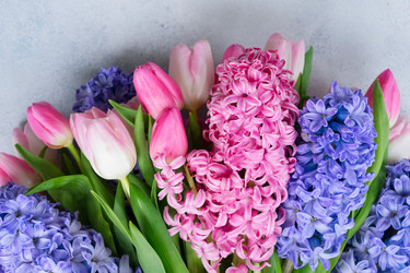 Similar image 20070325