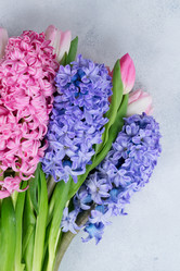 Similar image 20070326