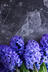 Similar image 20070330