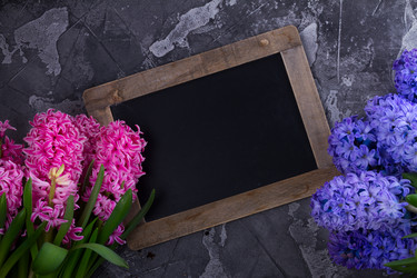 Similar image 20070331