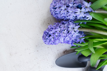 Similar image 20070333