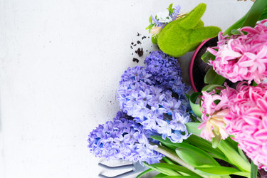 Similar image 20070335