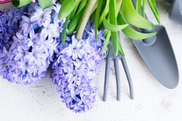 Similar image 20070336