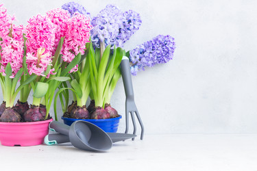 Similar image 20070337