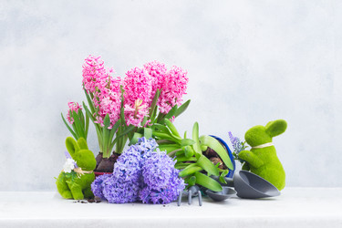 Similar image 20070338