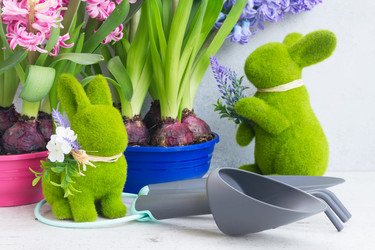 Similar image 20070343