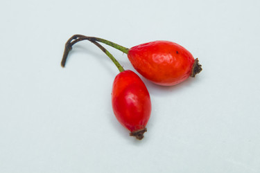 Similar image 19952661