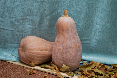 Similar image 20155078