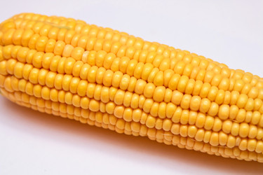 Similar image 20157017