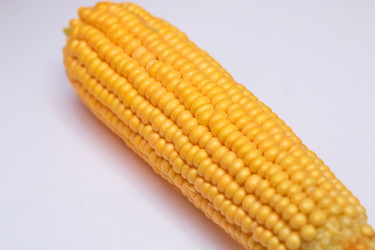 Similar image 20157021