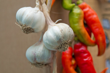 Similar image 20160473