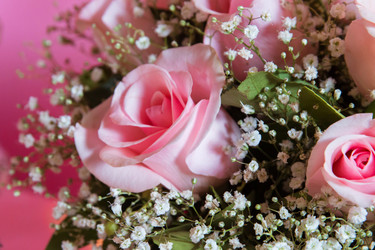 Similar image 20192302