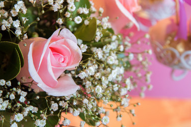 Similar image 20192304