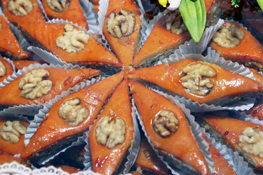 Similar image 20160475