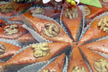 Similar image 20160477