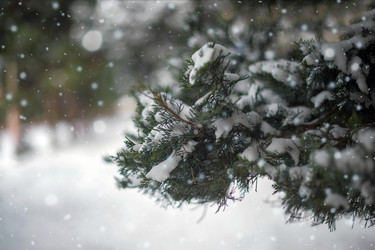 Similar image 20192315