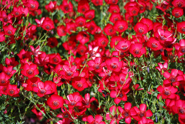 Similar image 20192335