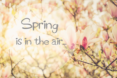 Similar image 20070356