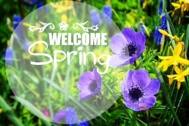 Similar image 20070358