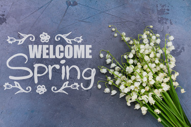 Similar image 20070360