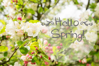 Similar image 20070361