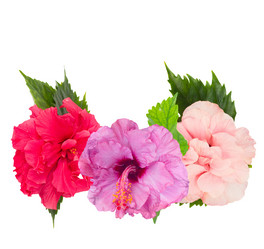 Similar image 20070362