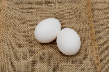 Similar image 19945462