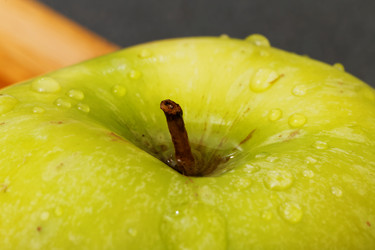 Similar image 19945492