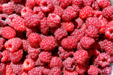 Similar image 20072435