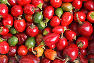 Similar image 20072539