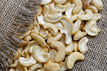 Similar image 20072585