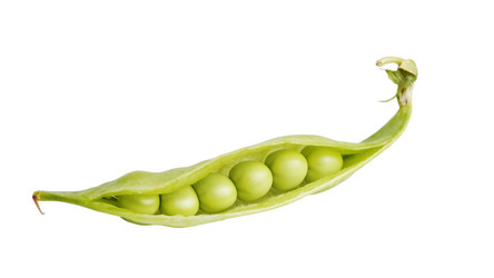 Similar image 19945654