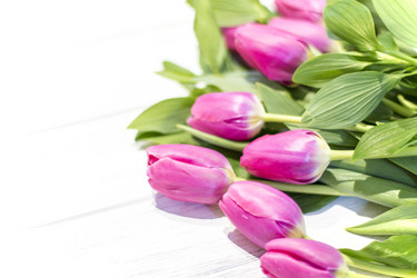 Similar image 20054510