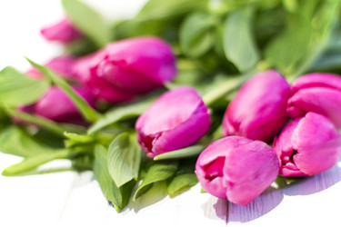 Similar image 20054512