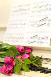 Similar image 20054517