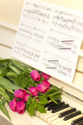 Similar image 20054518