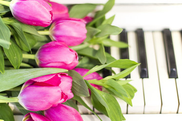 Similar image 20054519