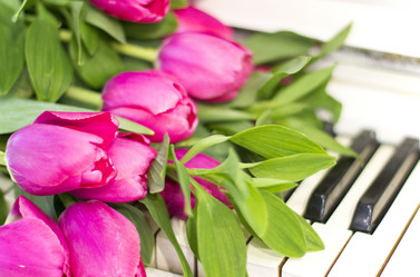 Similar image 20054520