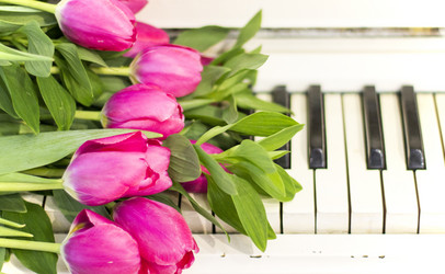 Similar image 20054522