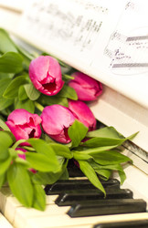 Similar image 20054523