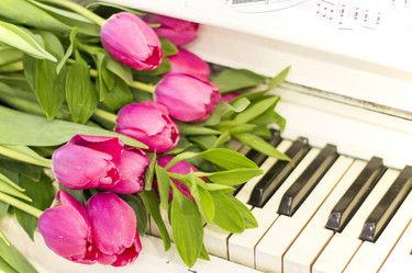 Similar image 20054524