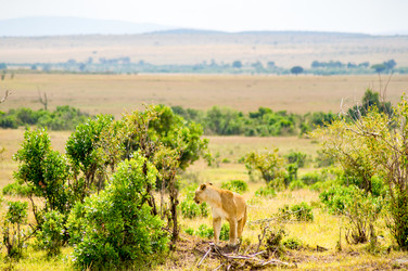 Similar image 20120919