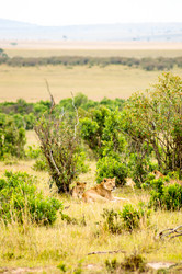 Similar image 20120921