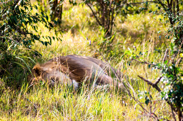 Similar image 20120930