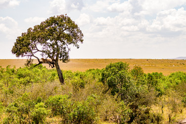 Similar image 20120935