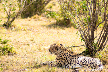 Similar image 20120951