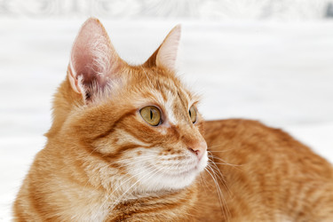 Similar image 19945532