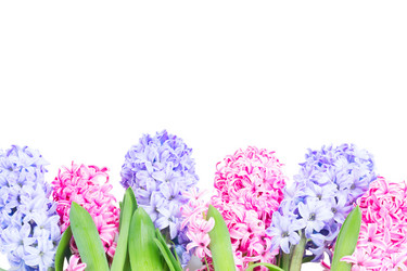 Similar image 20070376