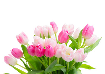 Similar image 20070379