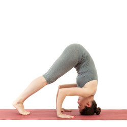 Similar image 19964000